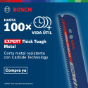 Hojas de sierra Bosch Expert